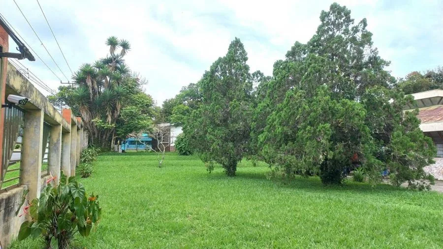 Oficinas en alquiler, Barrio Tournon. PC9648599 - Alquiler / Renta en Goicoechea — photo 4