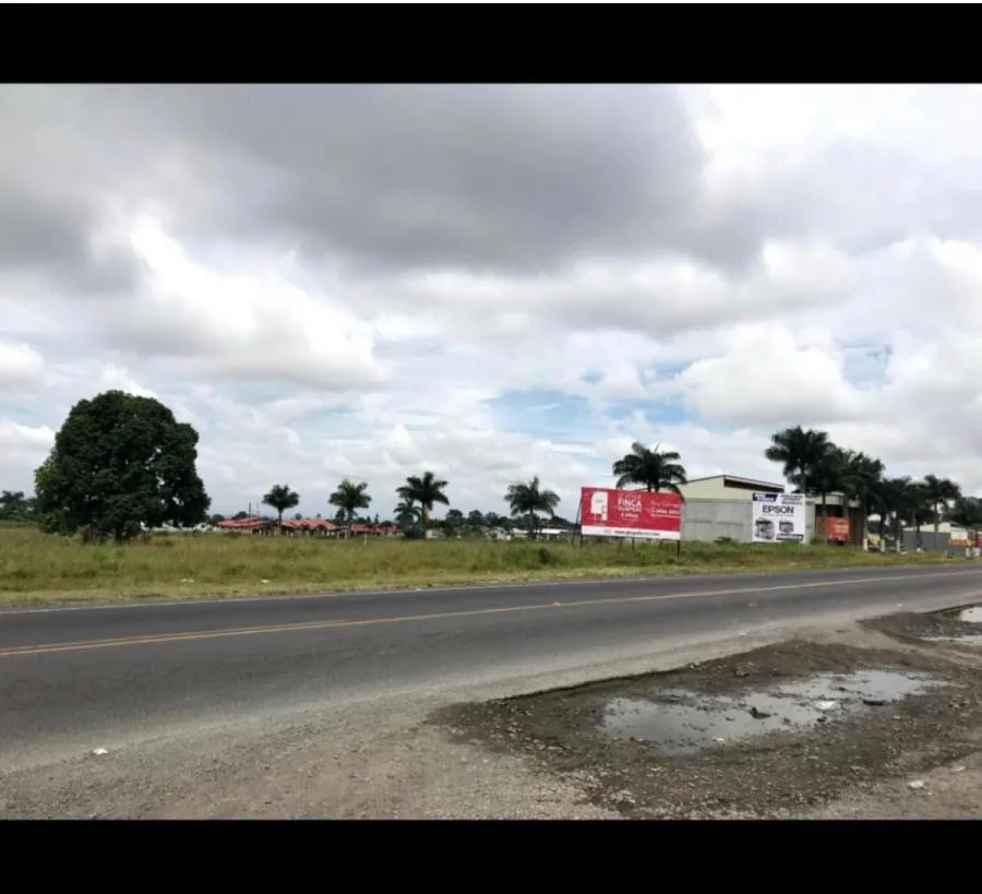 VENTA DE TERRENO EN GUAPILES - Venta en Guápiles