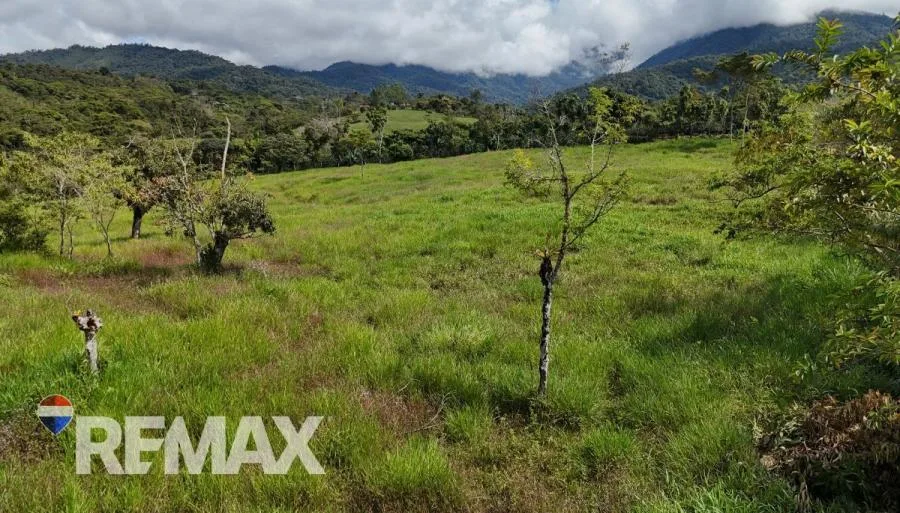 OPORTUNIDAD INMOBILIARIA EN SANTA ELENA – LOTE EN VENTA CON ALTA DEMANDA - Venta en Perez Zeledón — photo 4