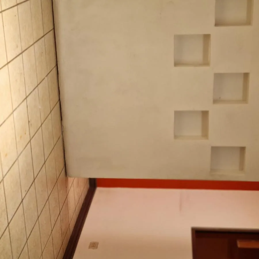 Casa Esquinera en Venta en,Guadalupe,1 Planta , Uso Mixto, 5PJG7421642 - Venta en Goicoechea — photo 3