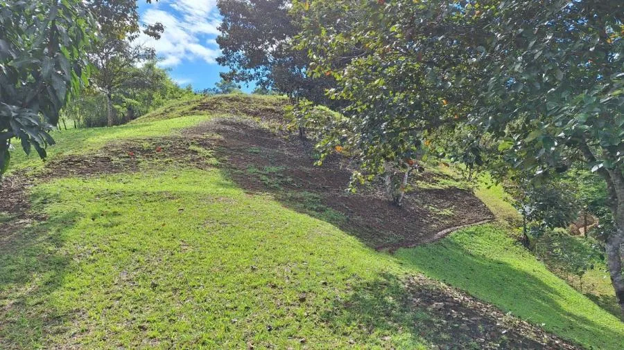 LOTE SOSTENIBLE EN VENTA EN LA PRIVACIDAD DE PÉREZ ZELEDÓN, ROSARIO DE PACUAR - Venta en Perez Zeledón