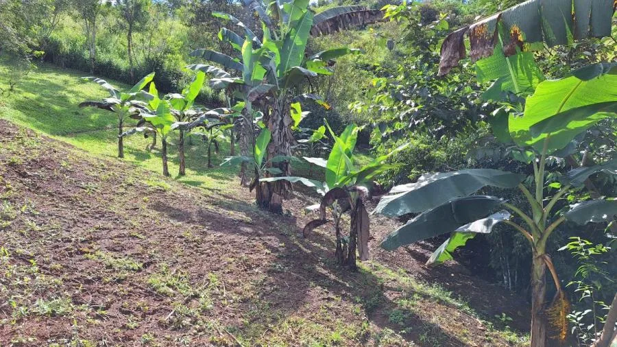 LOTE SOSTENIBLE EN VENTA EN LA PRIVACIDAD DE PÉREZ ZELEDÓN, ROSARIO DE PACUAR - Venta en Perez Zeledón — photo 2