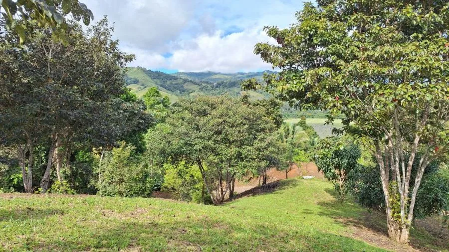 LOTE SOSTENIBLE EN VENTA EN LA PRIVACIDAD DE PÉREZ ZELEDÓN, ROSARIO DE PACUAR - Venta en Perez Zeledón — photo 5