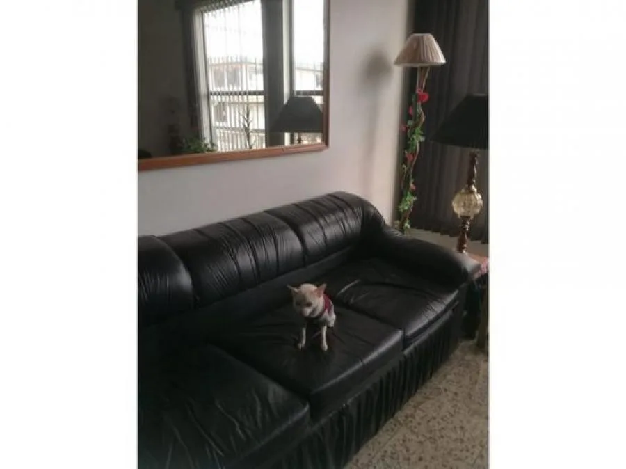 Casa esquinera en Venta en Guadalupe, Uso Mixto- 5PJG7098403 - Venta en Goicoechea — photo 2