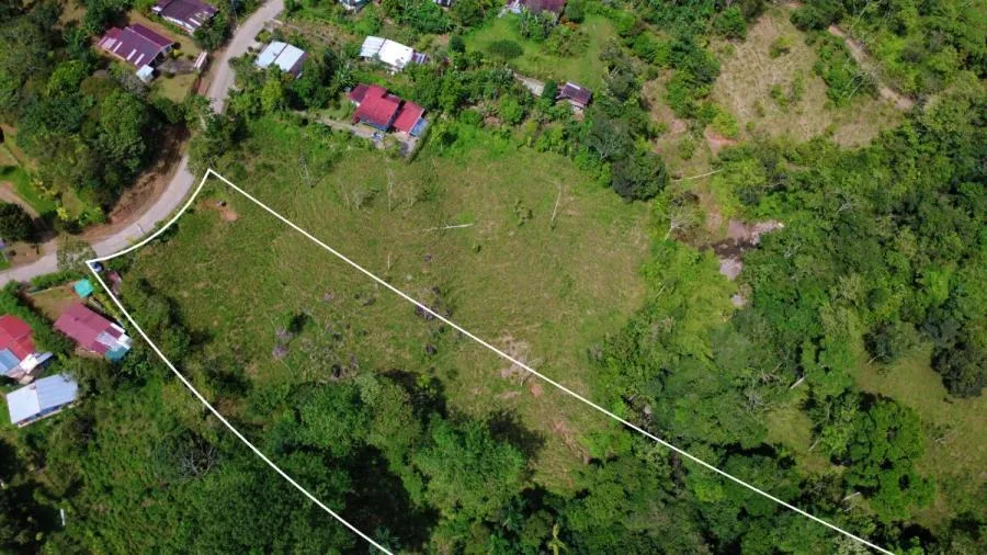 PROPIEDAD DE 10,000 m² EN MIRAFLORES, PÉREZ ZELEDÓN – TERRENO LISTO PARA CONSTRUIR CON QUEBRADA Y CL - Venta en Perez Zeledón — photo 5