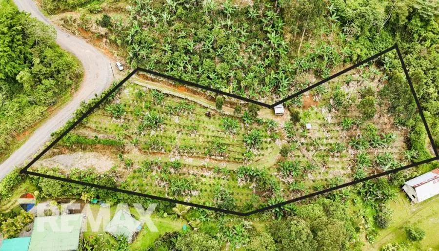HERMOSA FINCA CAFETALERA EN LA ESE DE PÁRAMO, PÉREZ ZELEDÓN - Venta en Perez Zeledón