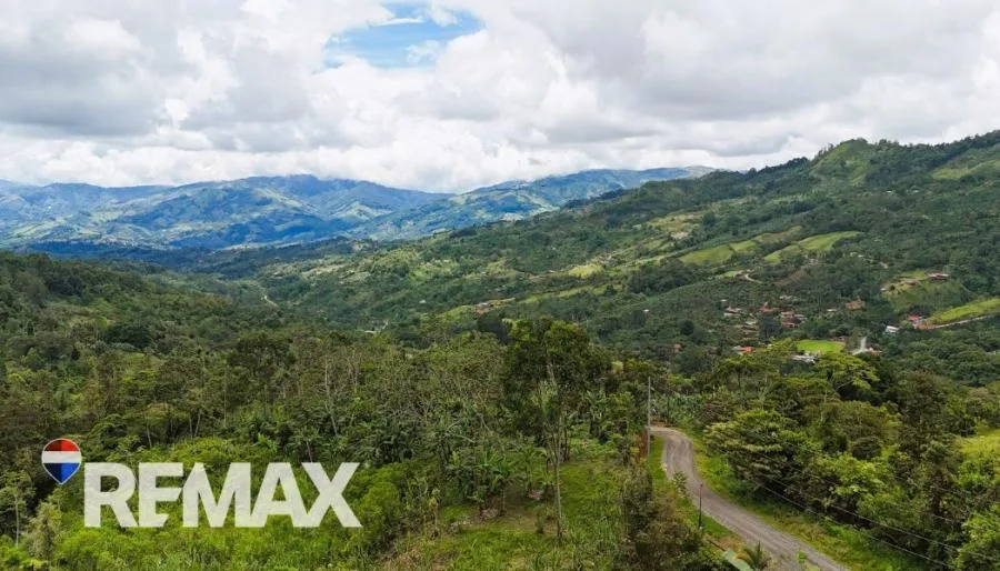 HERMOSA FINCA CAFETALERA EN LA ESE DE PÁRAMO, PÉREZ ZELEDÓN - Venta en Perez Zeledón — photo 4