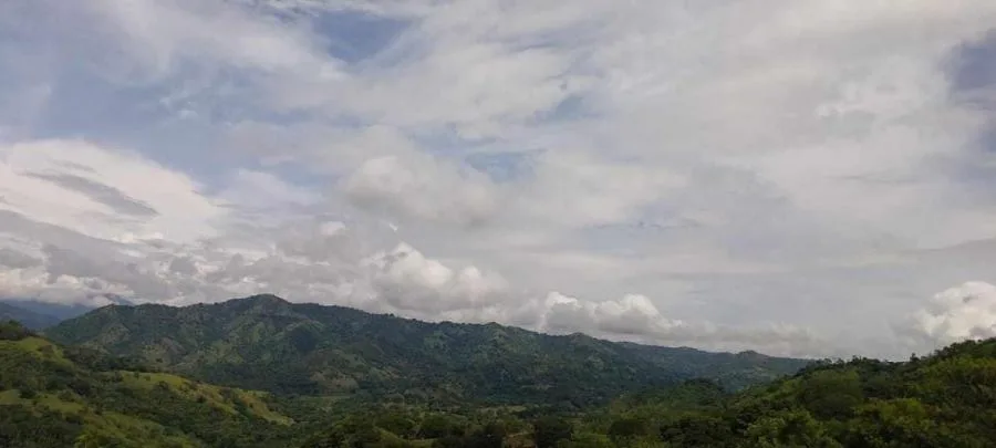 Explora la Belleza Natural de Tabarcia de Mora, venta de propiedad - Venta en Mora — photo 2