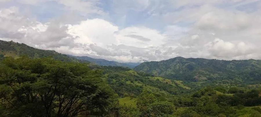 Explora la Belleza Natural de Tabarcia de Mora, venta de propiedad - Venta en Mora — photo 3