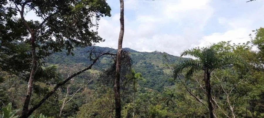 Explora la Belleza Natural de Tabarcia de Mora, venta de propiedad - Venta en Mora — photo 4