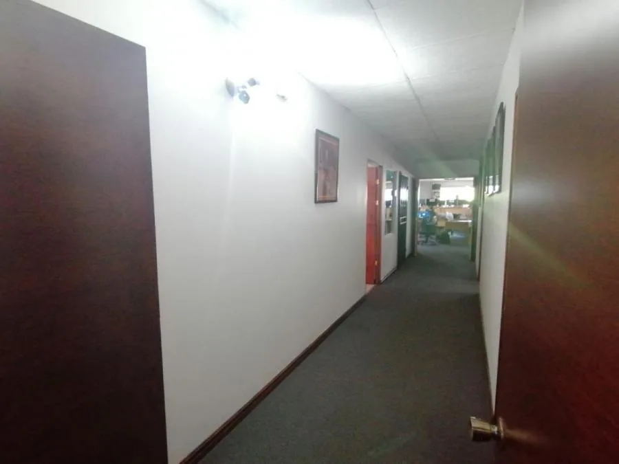 ALQUILER DE OFICINAS EN ROHMOSER - Alquiler / Renta en Costa Rica — photo 5