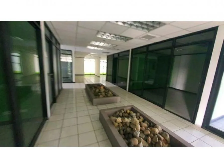 Oficina Comercial En Alquiler En La Sabana; Idi: 134124 - Alquiler / Renta en San José — photo 2