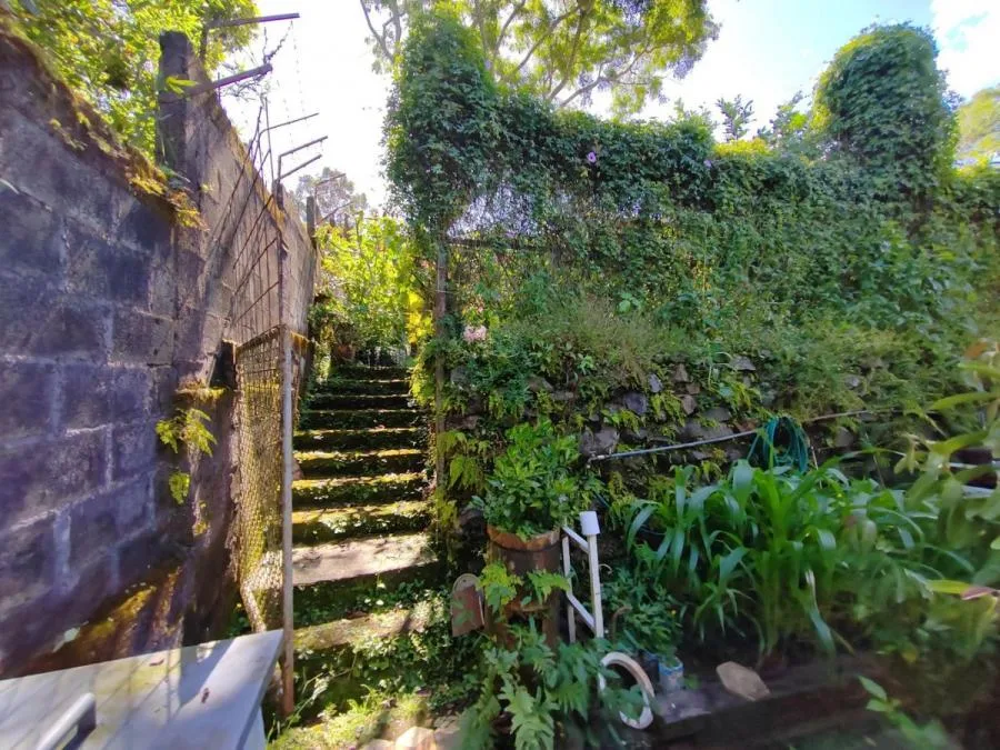 Venta de Casa en Montes de Oca, San José. RAH 24-1686 - Venta en Montes de Oca — photo 4