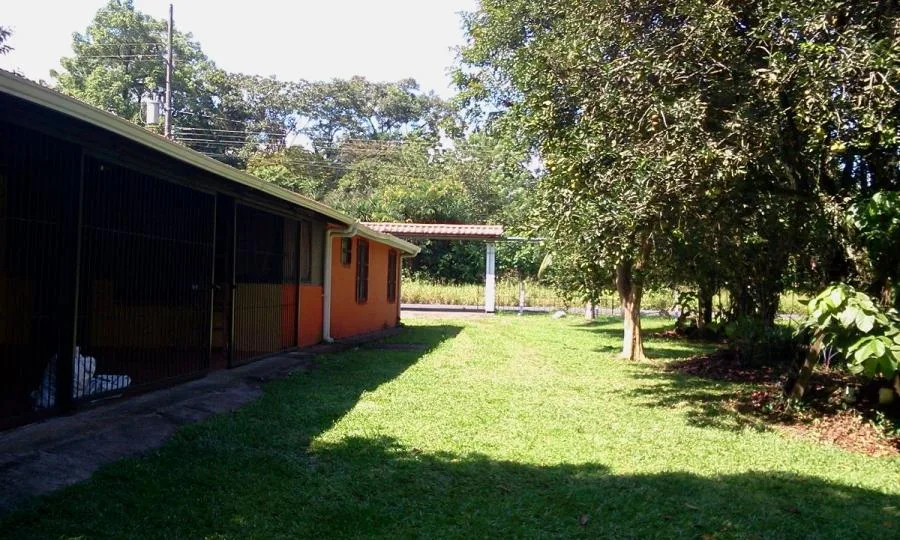 Se vende quinta con casa y colindante con rio - Venta en Jiménez