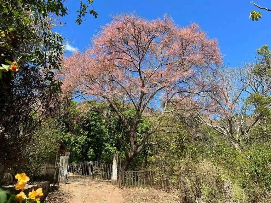 Venta de Lote en Chomes. - Venta en Chomes