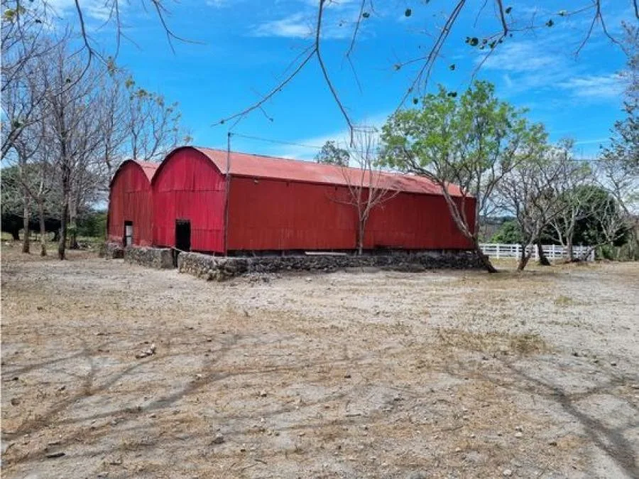 VENTA DE FINCA GUANACASTE, CAÑAS, PALMIRA, VALLE ESCONDIDO - Venta en Cañas