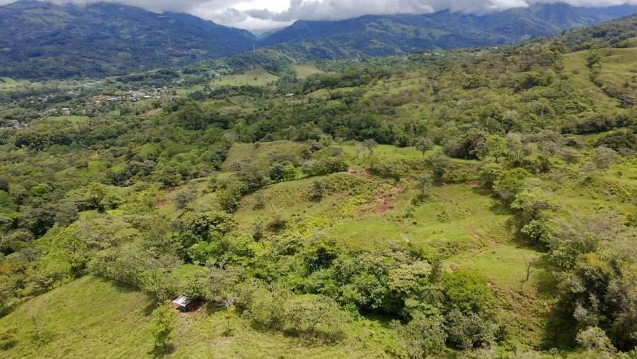 En venta: 3.8 hectáreas en Pérez Zeledón con quebrada, árboles frutales y vistas impresionantes. - Venta en Perez Zeledón