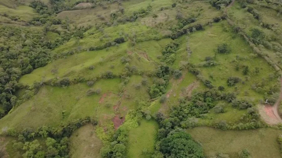 En venta: 3.8 hectáreas en Pérez Zeledón con quebrada, árboles frutales y vistas impresionantes. - Venta en Perez Zeledón — photo 2
