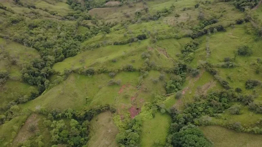 En venta: 3.8 hectáreas en Pérez Zeledón con quebrada, árboles frutales y vistas impresionantes. - Venta en Perez Zeledón — photo 3