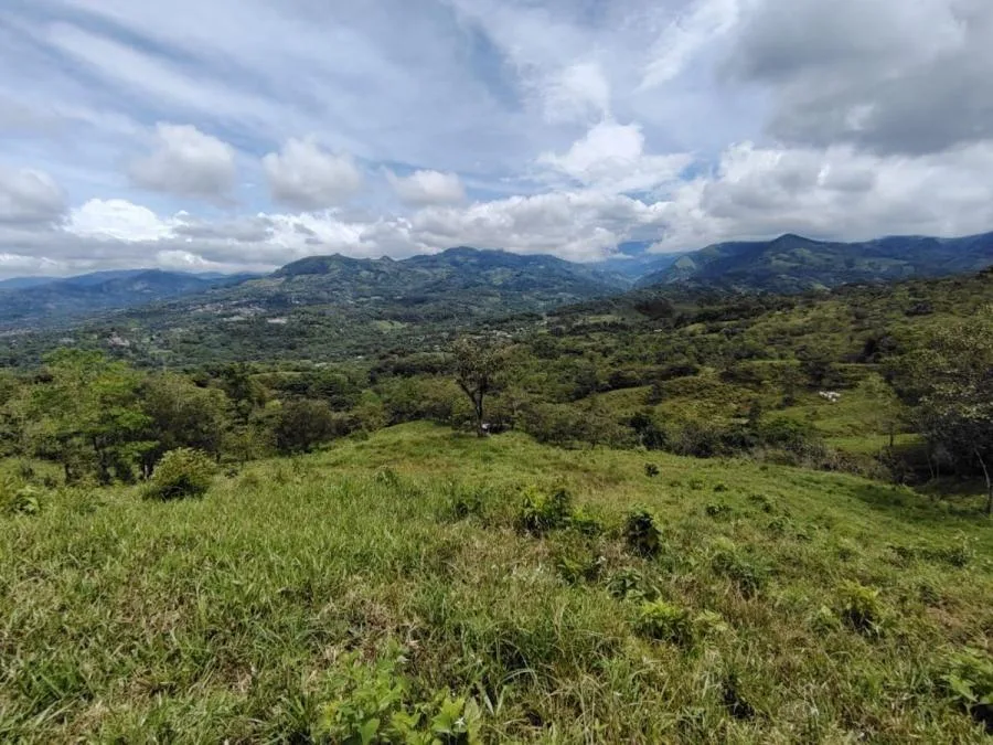 En venta: 3.8 hectáreas en Pérez Zeledón con quebrada, árboles frutales y vistas impresionantes. - Venta en Perez Zeledón — photo 5