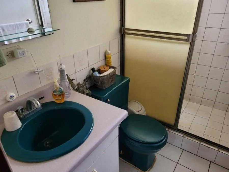 MLS-24-532 LS VENTA CASA GOICOECHEA SAN JOSE - Venta en Goicoechea San Jose, photo 3