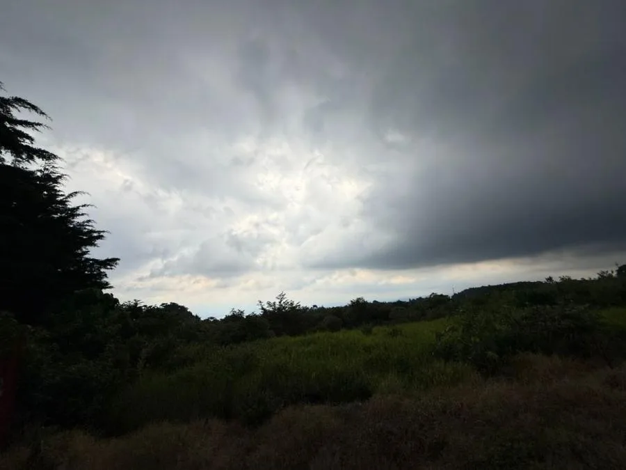 VENTA DE FINCA, USO MIXTO, HEREDIA, SAN JOSÉ DE LA MONTAÑA - 9576310 - Venta en San José de la Montaña