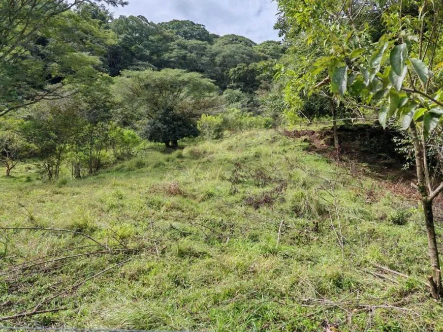 Venta de Lote en Colôn-Mora, San José. RAH 25-1619 - Venta en Mora — photo 3
