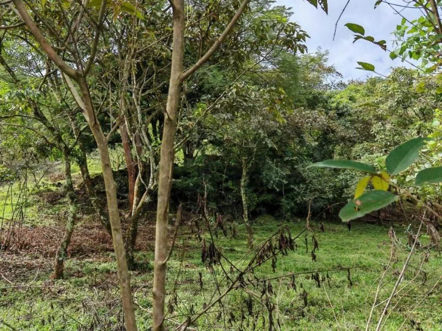 Venta de Lote en Colôn-Mora, San José. RAH 25-1619 - Venta en Mora — photo 4