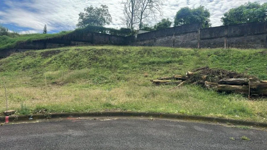 VENTA DE LOTE, USO MIXTO, HEREDIA, SAN PABLO, URBANIZACIÓN LA AMADA - 9687948 - Venta en San Pablo