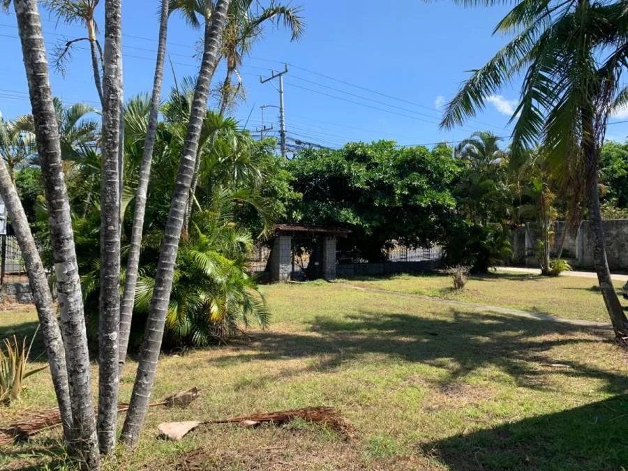 HEREDIA FLORES LLORENTE VENDO PROPIEDAD GRANDE CON CASA - Venta en Flores