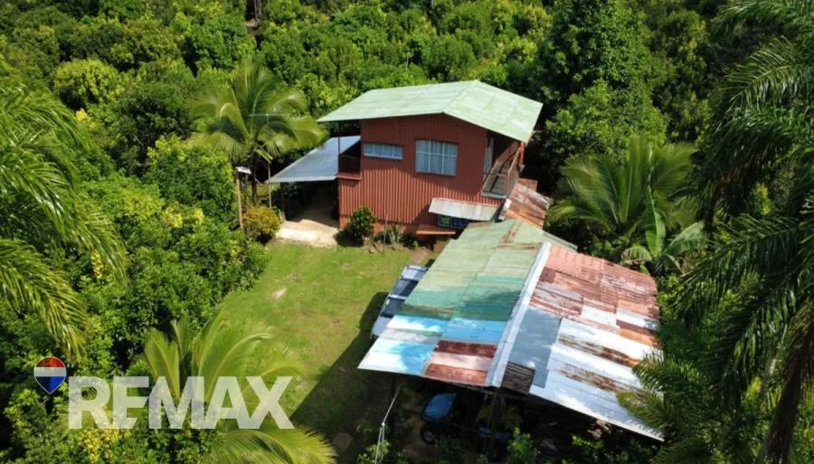 FINCA PRODUCTIVA DE MAMÓN CHINO EN VENTA – PÉREZ ZELEDÓN - Venta en Perez Zeledón — photo 3