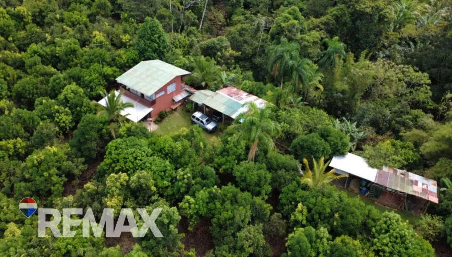 FINCA PRODUCTIVA DE MAMÓN CHINO EN VENTA – PÉREZ ZELEDÓN - Venta en Perez Zeledón — photo 5