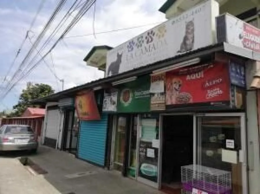 Casa + locales comerciales arrendados - Venta en El Guarco