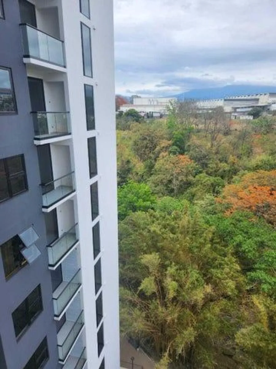 Alquiler de Apartamento en Merced, San José. - Alquiler / Renta en Merced
