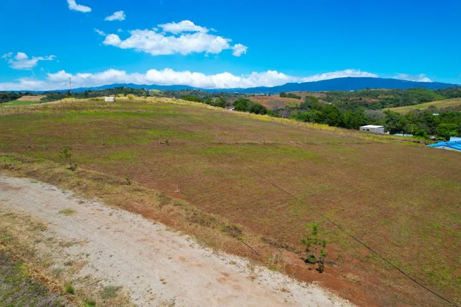 Finca Exclusiva en Grecia – Naturaleza, Inversión y Oportunidad - Venta en Grecia