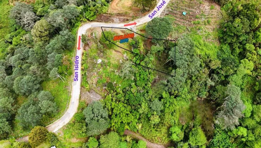 EXCELENTE OPORTUNIDAD: HERMOSA TIERRA INCLINADA EN VENTA EN EL CORAZÓN DE DIVISIÓN. - Venta en Perez Zeledón