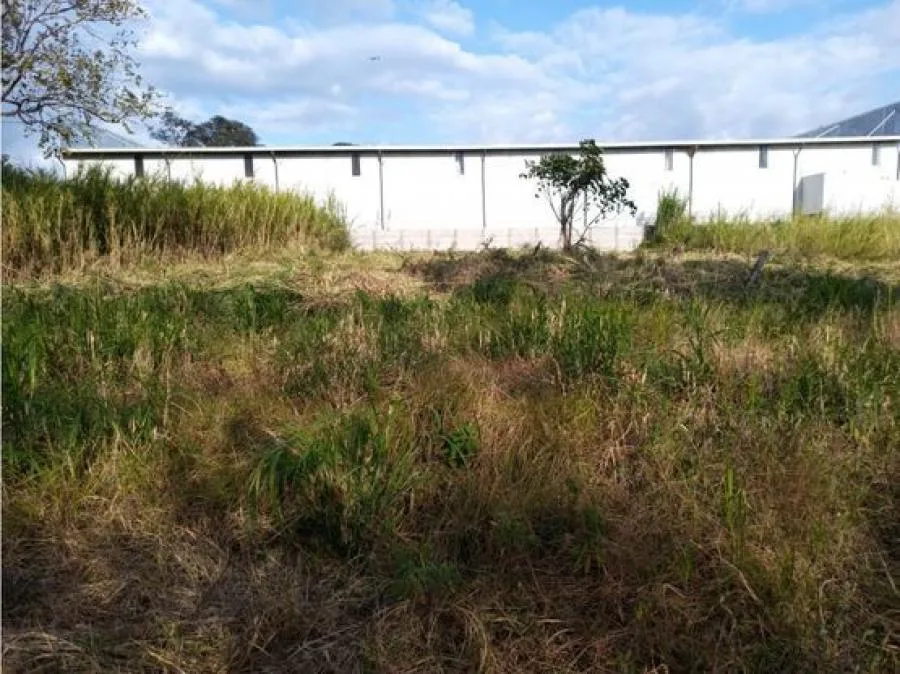 VENTA LOTE INDUSTRIAL, HEREDIA, LAGUNILLA - Venta en Heredia