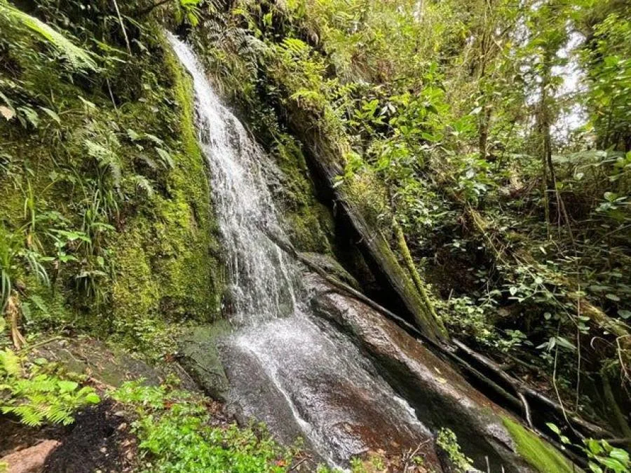 Venta de Lote en El Guarco, Cartago. RAH 25-201 - Venta en El Guarco