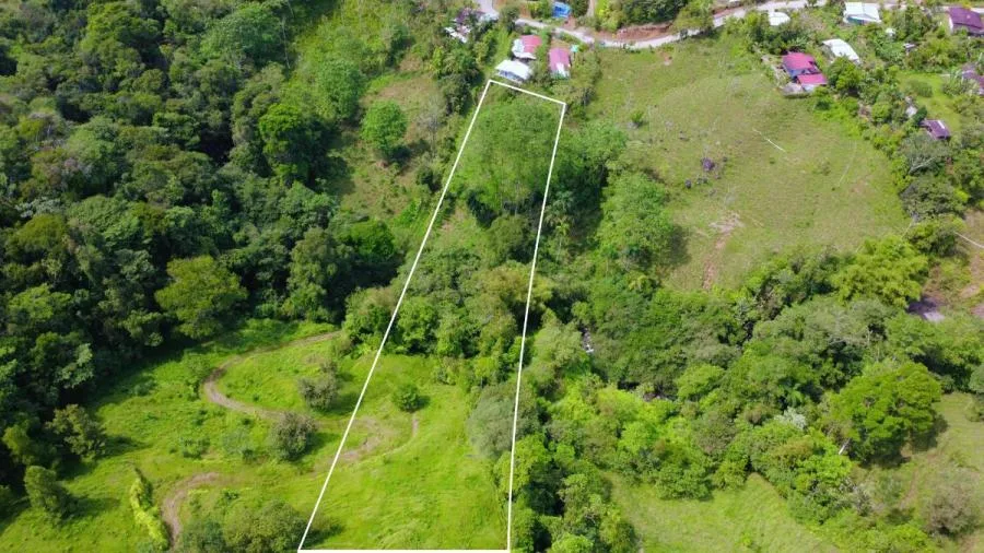EN VENTA: LOTE DE 8,667 m² EN MIRAFLORES, PÉREZ ZELEDÓN - Venta en Perez Zeledón — photo 4