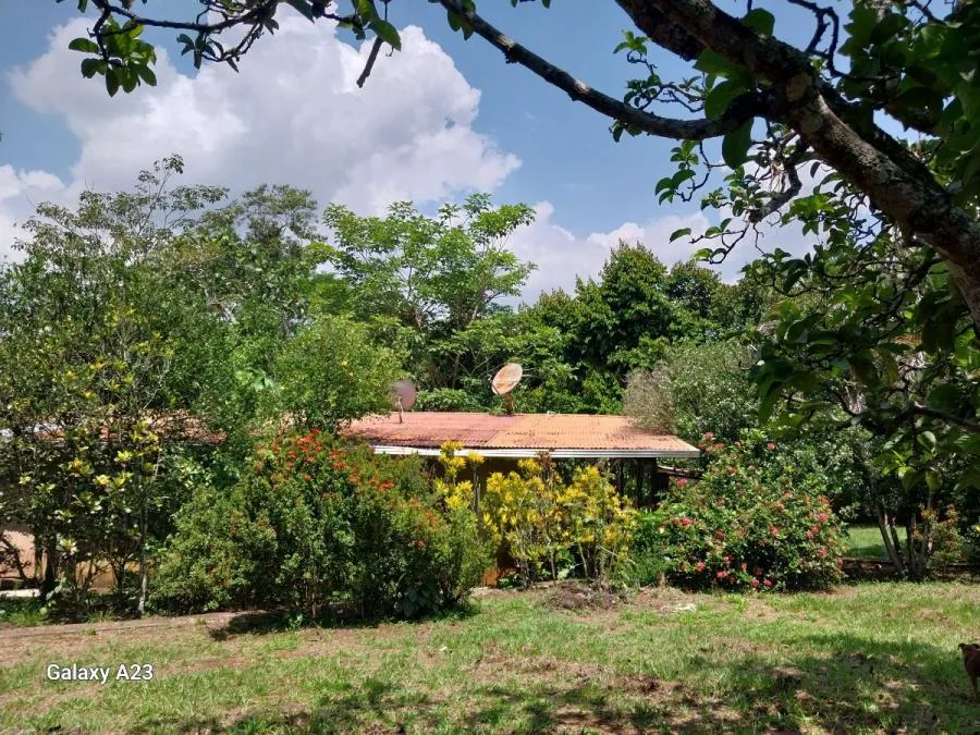 QUINTA EN OROTINA EN VENTA (GRAN OPORTUNIDAD) - Venta en Orotina