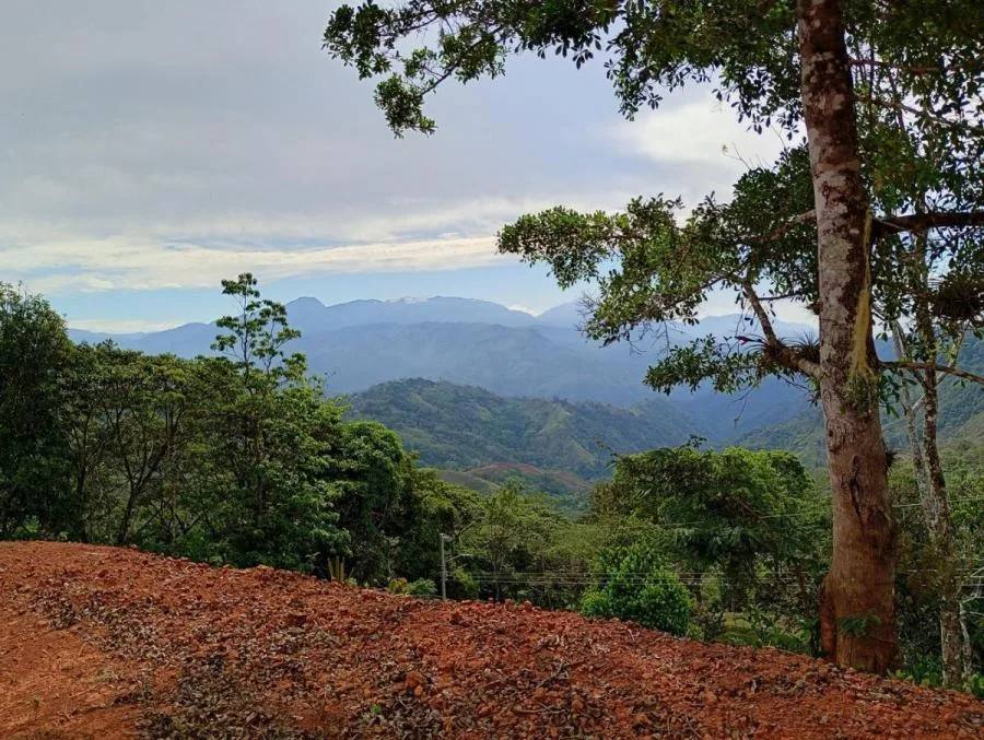 Venta de Lote en Puriscal de San José. RAH 25-1391 - Venta en Mercedes Sur