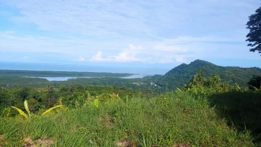 PROPIEDAD EN VENTA EN CORONADO DE OSA | QUEBRADAS Y VISTA AL MAR - Venta en Osa