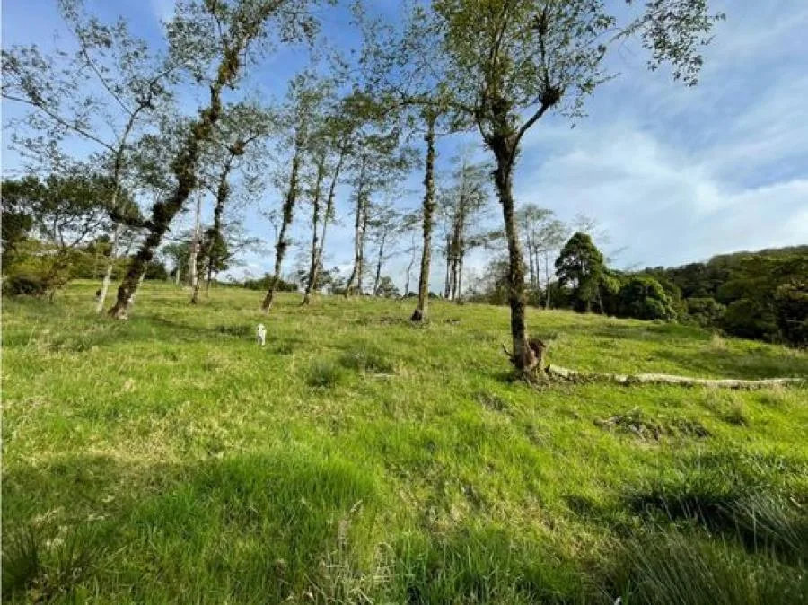VENTA DE LOTE, HEREDIA, VARABLANCA - Venta en Varablanca