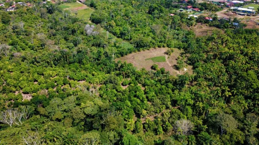 FINCA PRODUCTIVA EN VENTA – PUEBLO NUEVO DE CAJÓN, PÉREZ ZELEDÓN - Venta en Perez Zeledón — photo 3