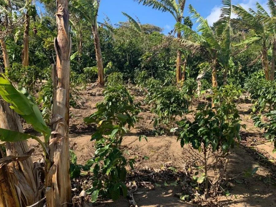 Venta de Lote en Desamparados. - Venta en Desamparados