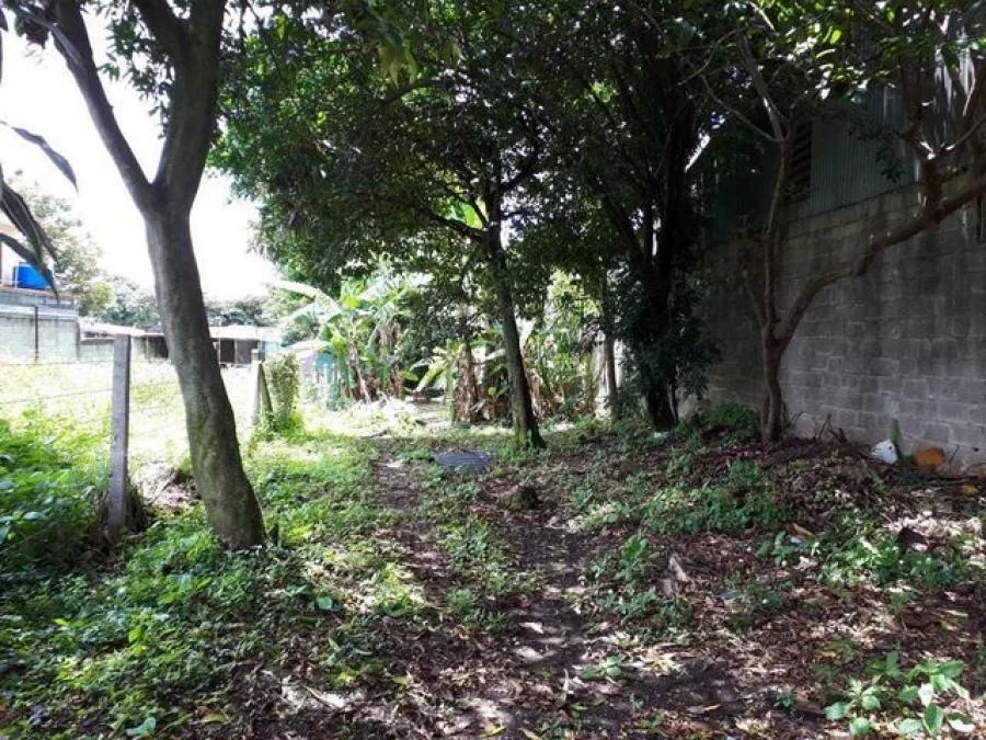 Propiedad de uso mixto en La Sabana ideal para oficinas, consultorios o inversión #26-2212 GS - Alquiler / Renta en San José — photo 2
