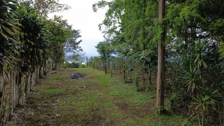 PROPIEDAD EN VENTA EN SAN FRANCISCO DE CAJÓN | 5,186 M² - Venta en Perez Zeledón — photo 3
