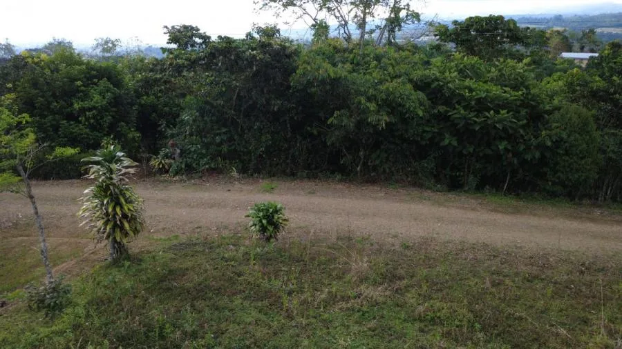 PROPIEDAD EN VENTA EN SAN FRANCISCO DE CAJÓN | 5,186 M² - Venta en Perez Zeledón — photo 5