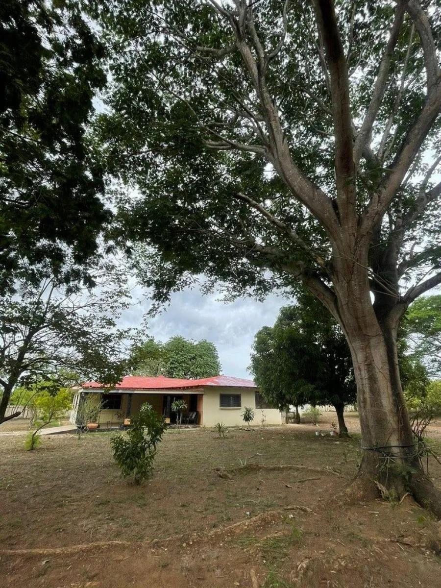 En venta hermosa casa ubicada en Guanacaste cerca a exoticas playas - Venta en Santa Cruz