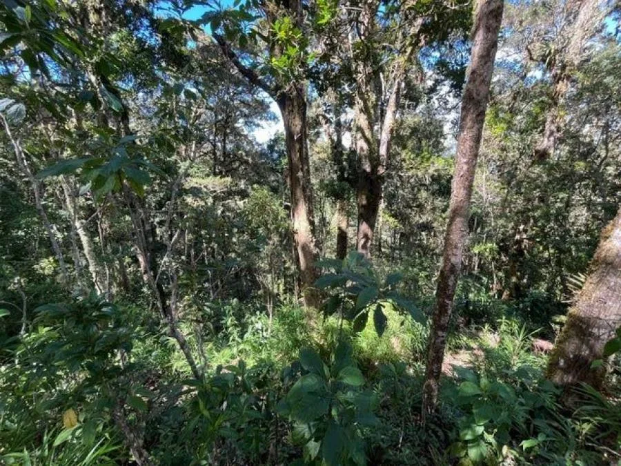 Venta de Lote en Dota Jardín, San José. RAH 26-1166 - Venta en Dota